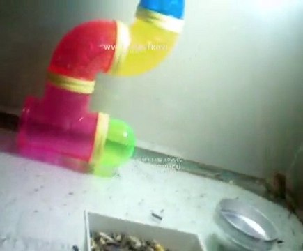 fare kovucu- falcon elektronik deney videoları 4