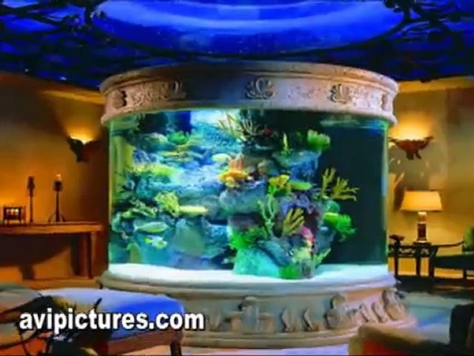 Aquariums in Orange, Ocean Blue New Address  1215 W Katella
