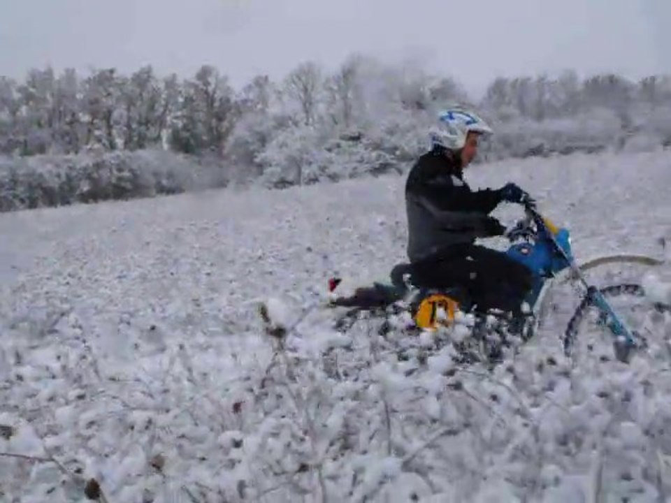 2010_12080003  un KAIMAN dans la neige