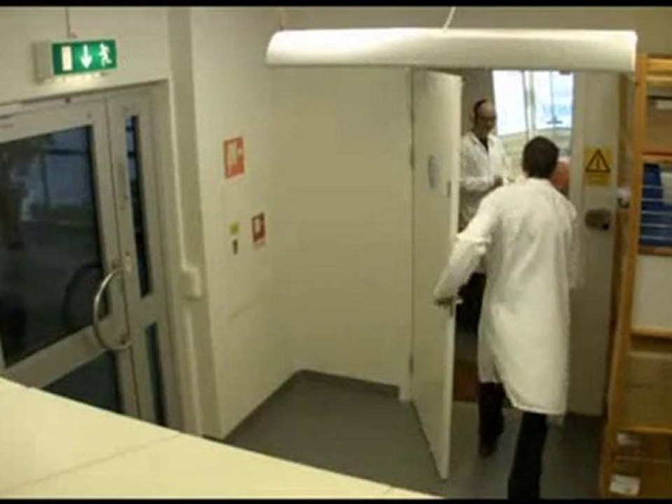 Scherzi da laboratorio