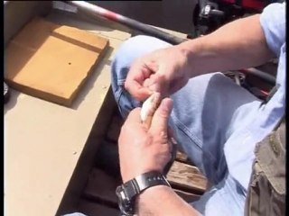 Рыбачьте с нами (Лещ с лодки) rybalka.lt