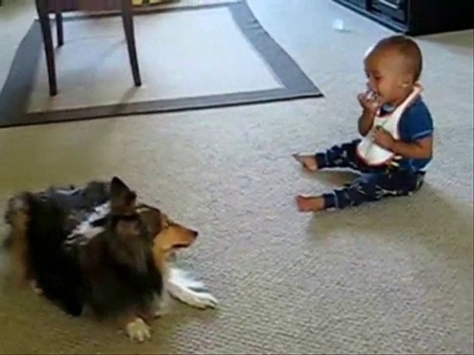 Un jouet pas cher !