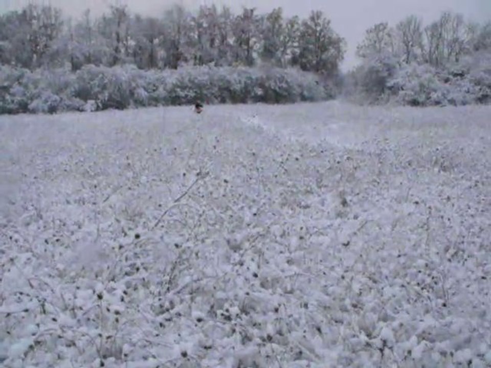 2010_12080004  THOMAS  7ans et son PW 80 dans la neige
