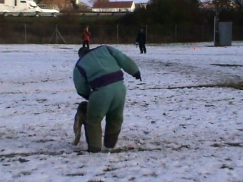 Face ring 1 Cisco de la Haute Morinière à Lagord 2010
