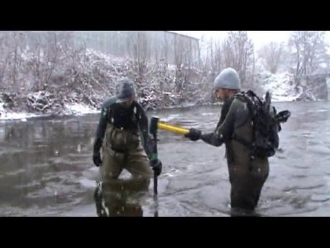 Survie sous graviers d'oeufs de saumons atlantique - LOGRAMI