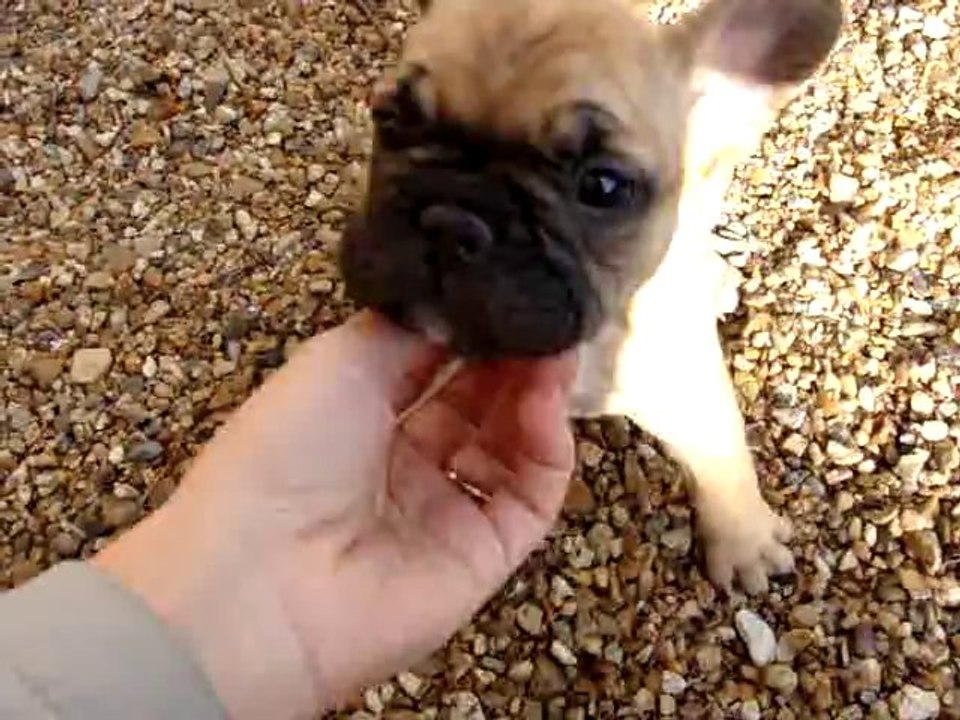 Fiona première fois dehors