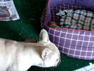 lecture du journal 39 jours