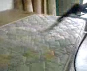 KONYADA SON TEKNOLOJİ MAKİNALAR İLE YERİNDE YIKAMA