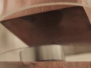 Leon - Sculpture cinétique