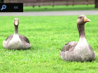 HV373T GUI demo 20101105