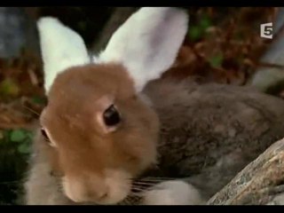 L'EUROPE DES QUATRE SAISONS - L'AUTOMNE (4 et fin)