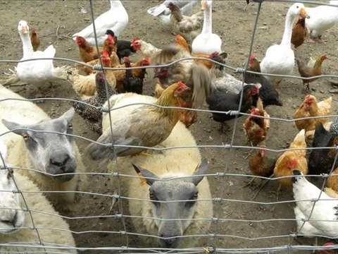 Diaporama de l'année 2010 - 35ème partie