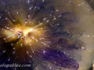 Stock Video - HD Stock Footage - The Heavens 01 clip 01