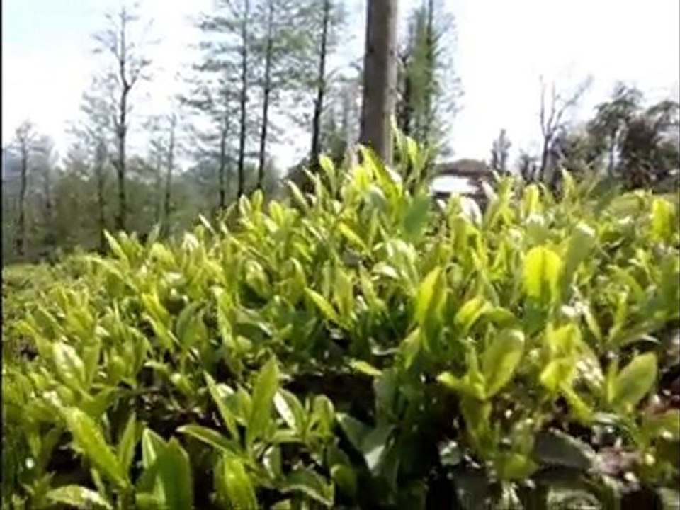 123_KOCATEPE SLAYT