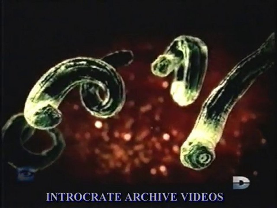 Parasites, Attentats-Suicides - 3 de 3