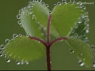 meren aktaş - Tarifsiz