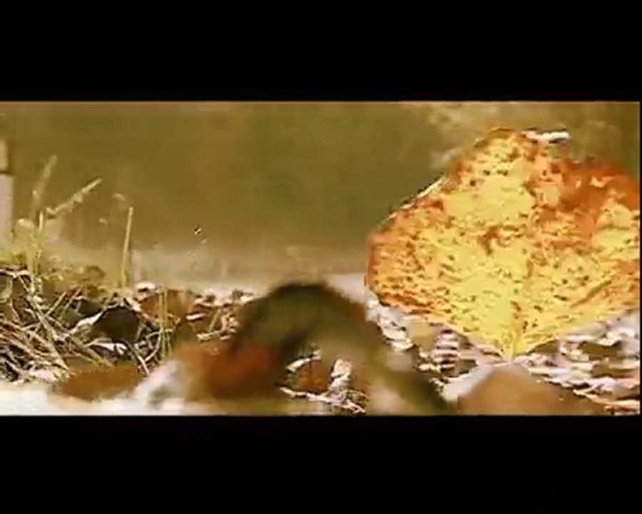 BMW GS 1200 ADVENTURE