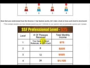 The Secret Stash Factory Online Business