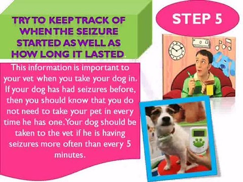 How to Handle Seizures in Dogs