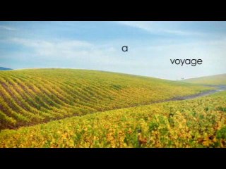 Join CARMEN on a journey of discovery