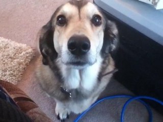 Staring Contest.
