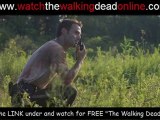 The Walking Dead Season 1 Episode 5 Wildfire