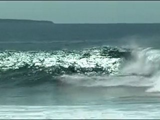 Rebrix back home in Lanzarote by Eric