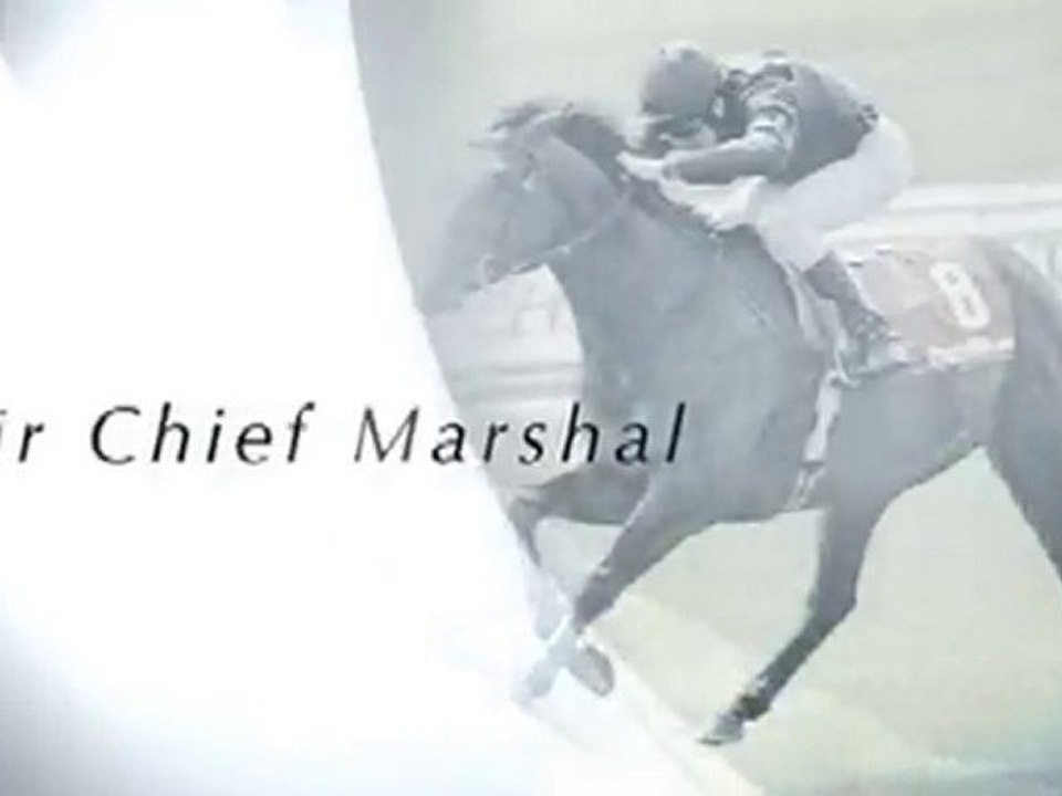 Air Chief Marshal