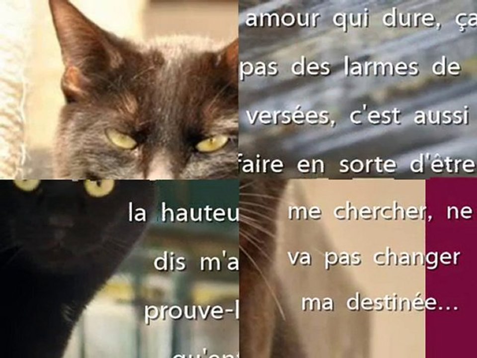 DIAMS vous attend au Refuge de Beauregard