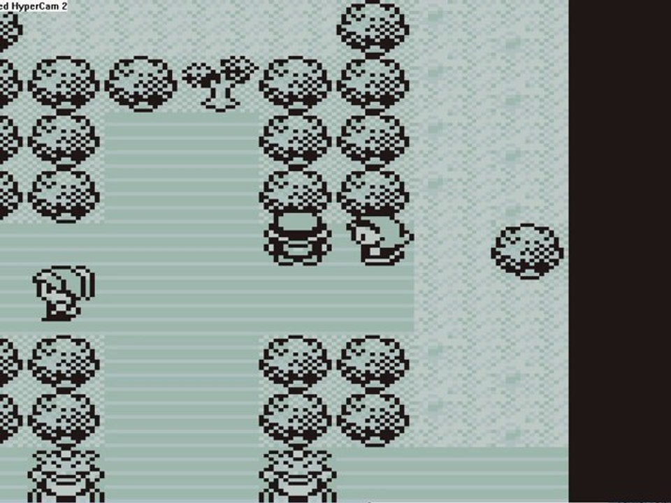 pokemon rouge 14