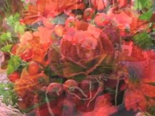 Blommor Dalarnas Län Falun Blomster Riket