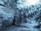 La neige est tombée sur le Clos de la Vigne par Papytane