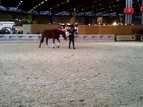 Andy Booth au salon du cheval de paris le 04 décembre 2010