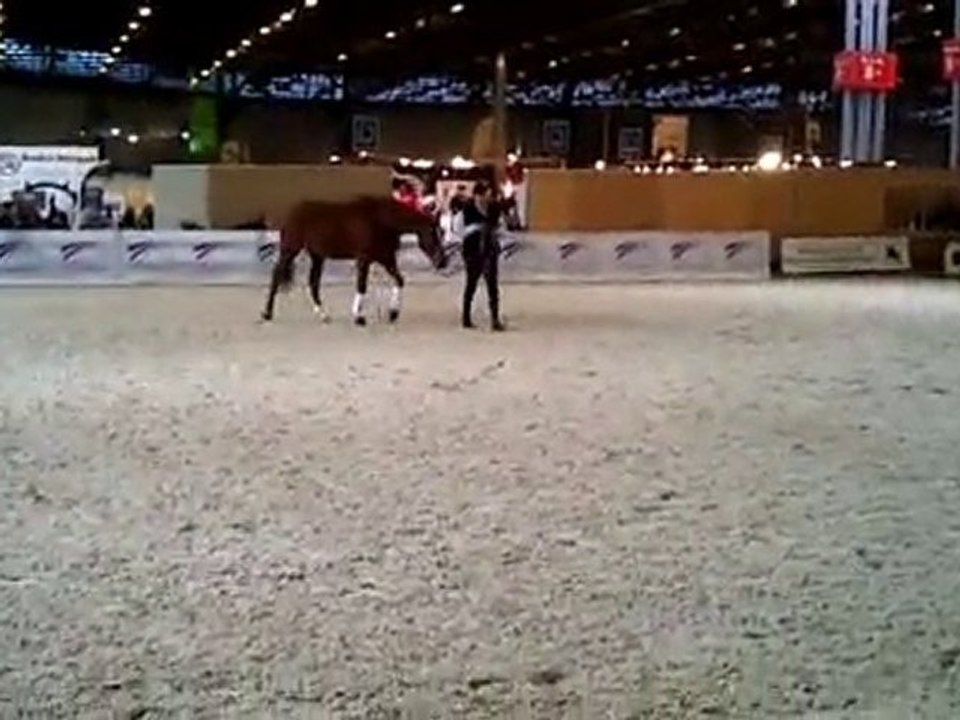 Andy Booth au salon du cheval de paris le 04 décembre 2010