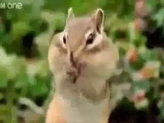 Gülmekten Gözümden Yaş Geldi