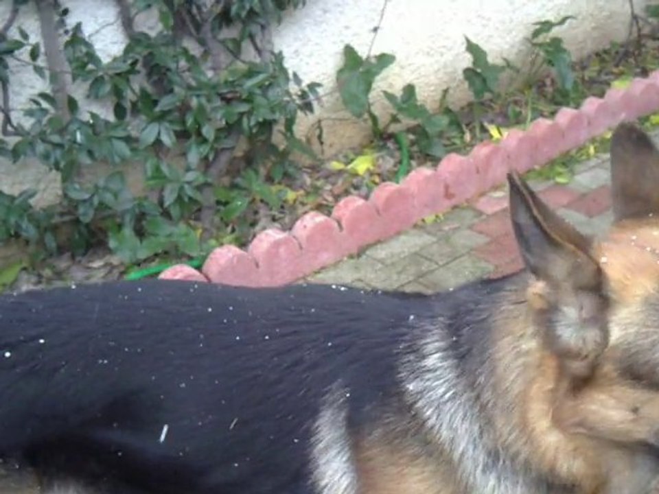 11122010013