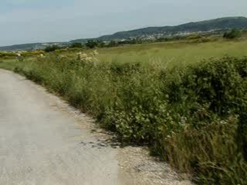 MOV00638