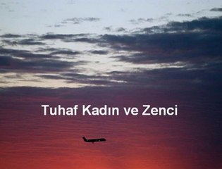 Tuhaf Kadın ve Zenci