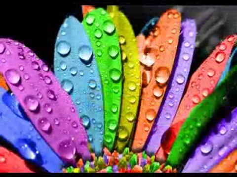 Ernesto Cortazar - Beethoven's Silence