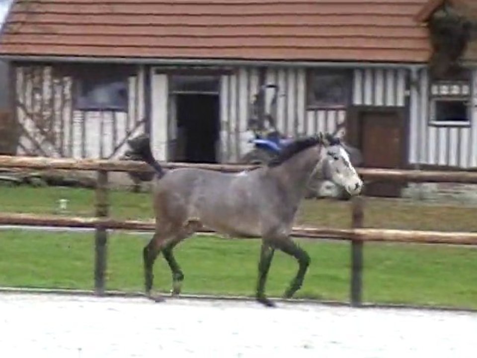male AA saut en liberté 1 "U"