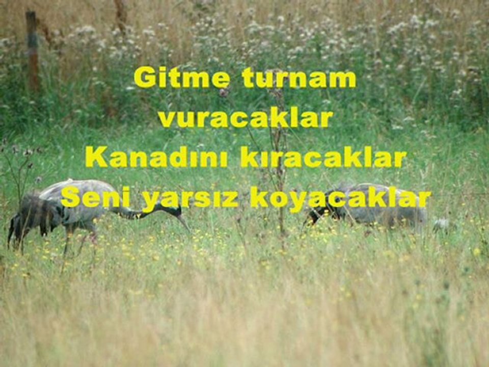 GİTME.TURNAM