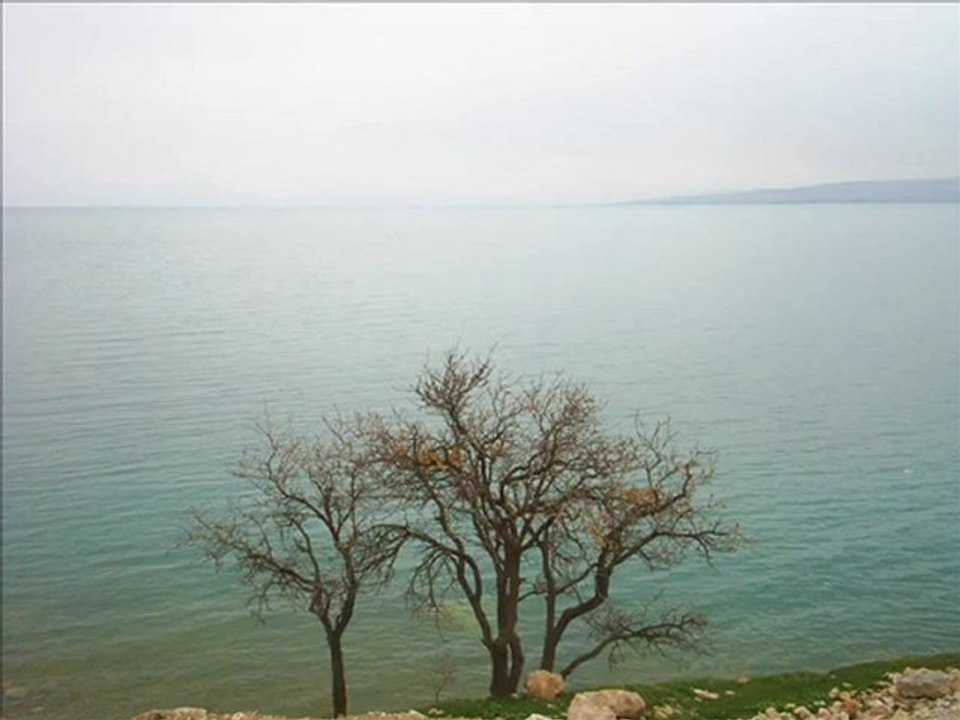 SEZEN AKSU GERİ DÖN