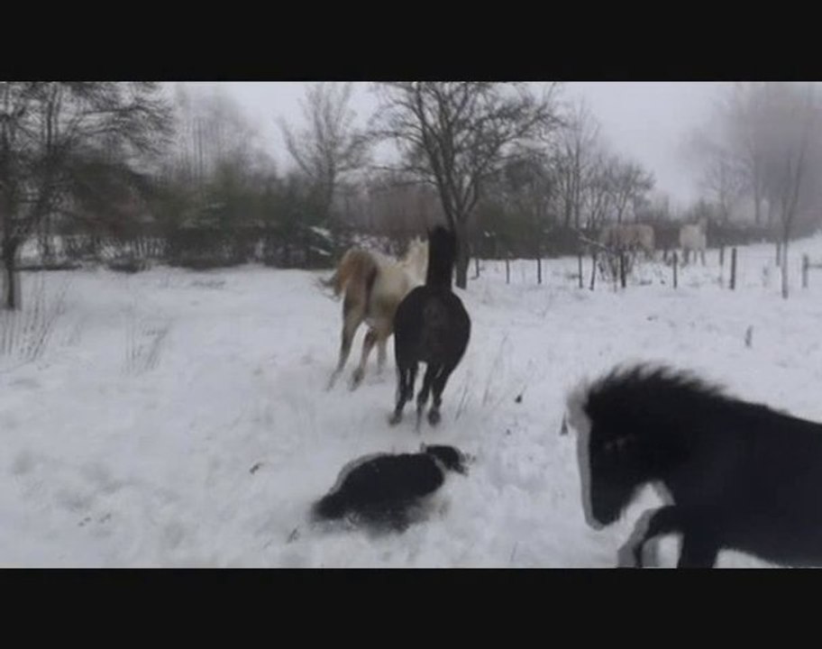Début décembre