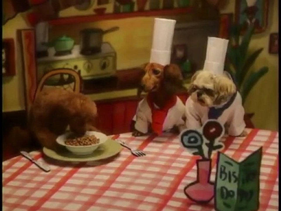 doggie chef