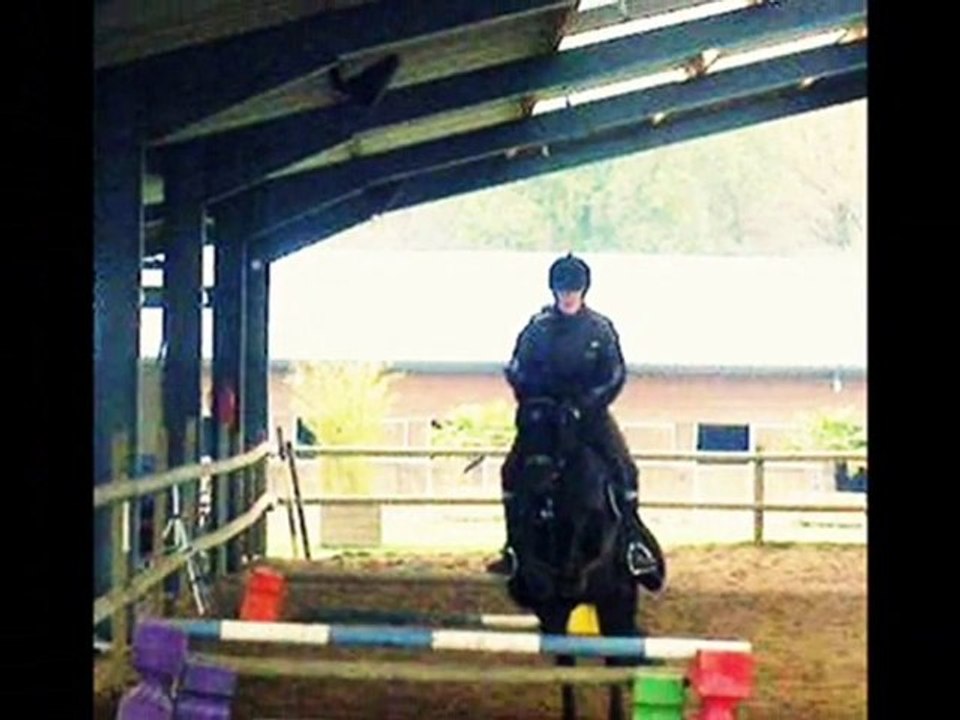 cour du 11 decembre 2010