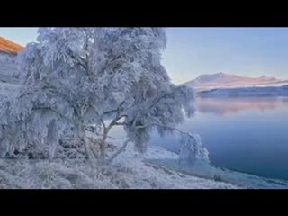 murathan mungan - bu ne biçim bi hayat