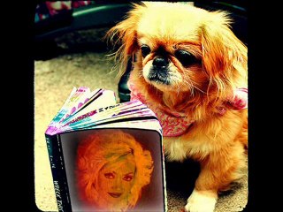 DİLEK AKSEL - HATIRLA SEVGİLİ