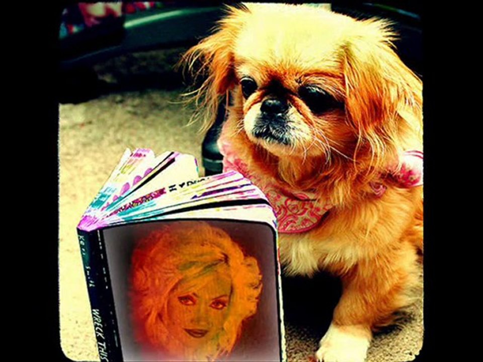 DİLEK AKSEL - HATIRLA SEVGİLİ