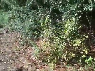 Picking up Litter near Bowers Blvd