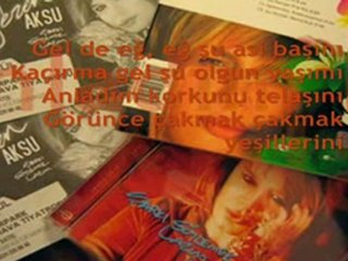 Sezen Aksu - Erkek Güzeli